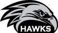 HAWKS_1